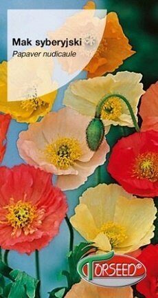 Kailstublāja magone MIX 0.5 g (Mak syberyjski) Torseed   A.P.